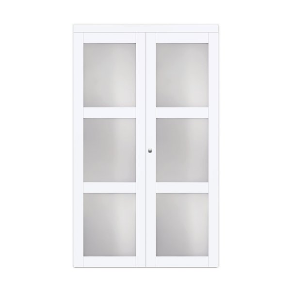 Renin Renin 24 in. x  80 1/2 in.  Euro 3-Lite Bi-Fold Door EU3080BWFGE024080